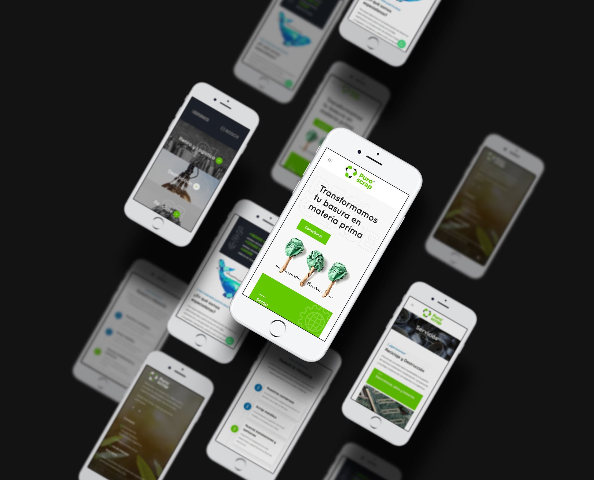 Professional web design and web development presentation featuring a responsive desktop and mobile website created by a web designer, with custom UI/UX design, modern search interface, visual branding and interactive web elements.
